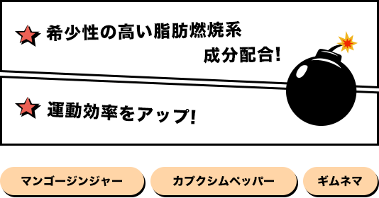 希少性の高い脂肪燃焼系成分配合!運動効率をアップ!