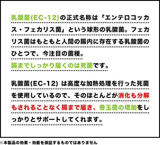 乳酸菌(EC-12) は高度な加熱処理を行った死菌を使用しているので、そのほとんどが消化も分解もされることなく腸まで届き、善玉菌の増加をしっかりとサポートしてくれます。